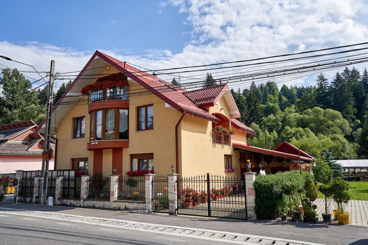 Casa Cu Flori Moisei Hotel Exterior photo
